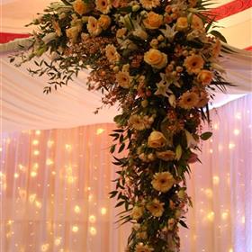 fwthumbstage (9).jpg